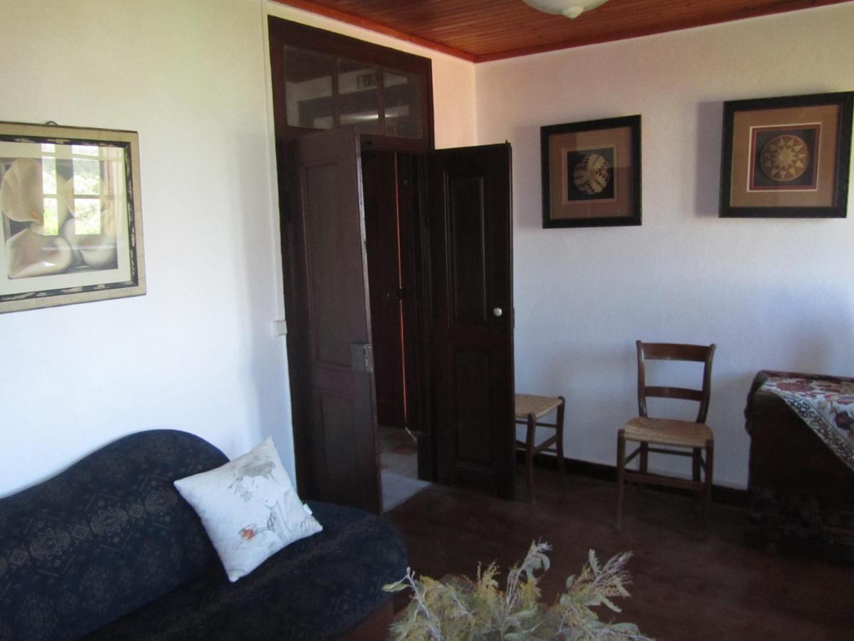 Апартаменты Casa Amarela Sao Pedro de Tomar Экстерьер фото