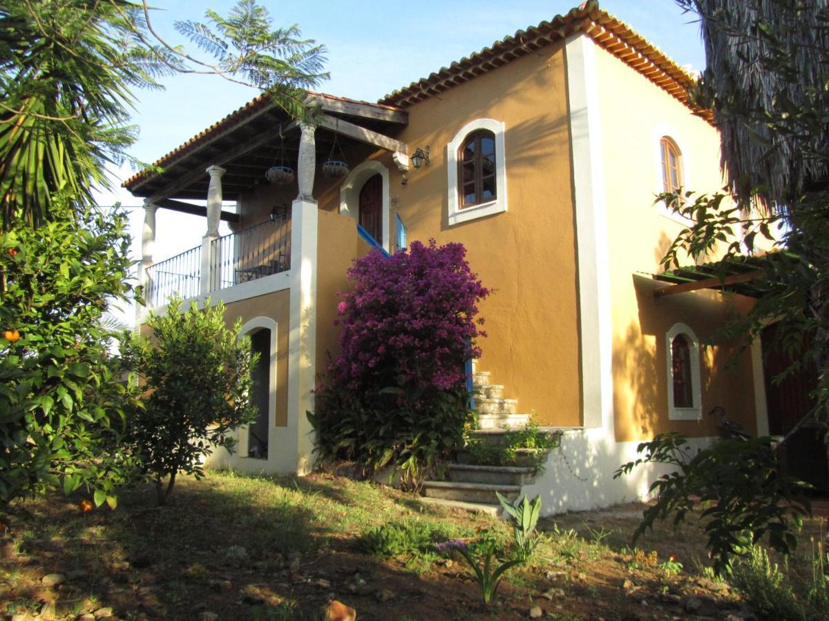 Апартаменты Casa Amarela Sao Pedro de Tomar Экстерьер фото